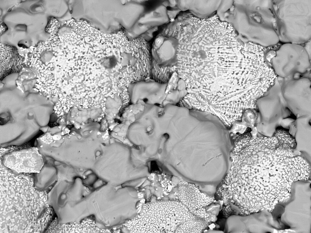 BSE Image of Metal Alloy